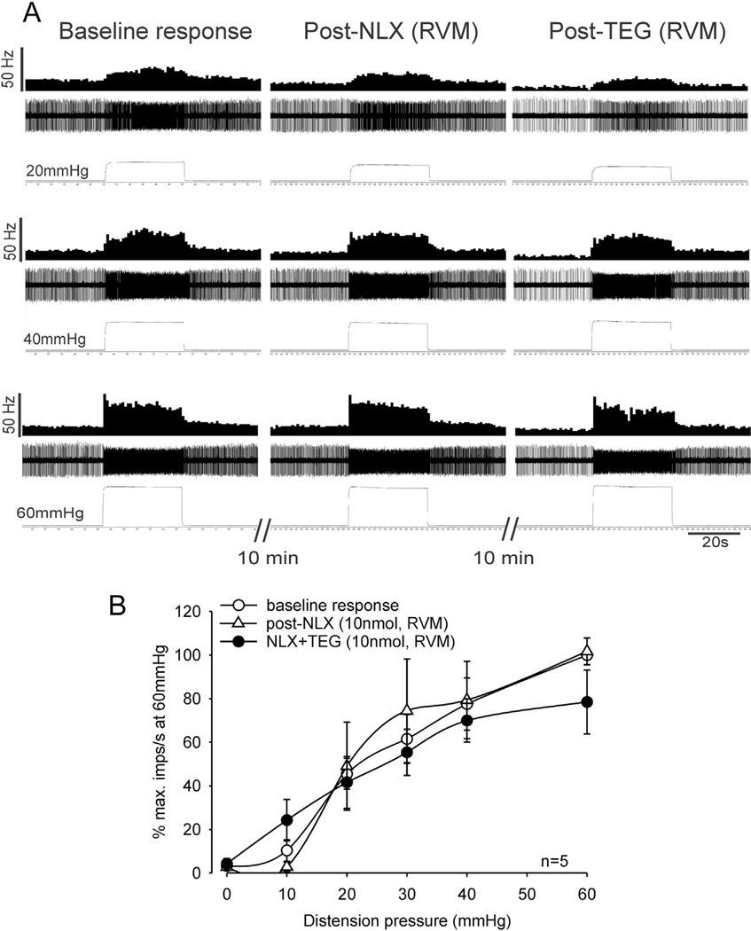 Fig. 12