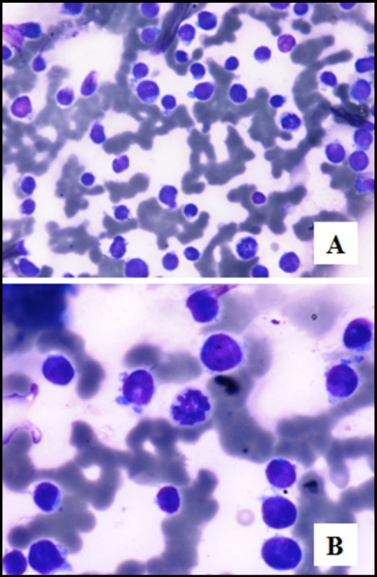 Figure 2A and B