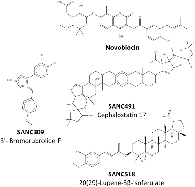 Figure 2