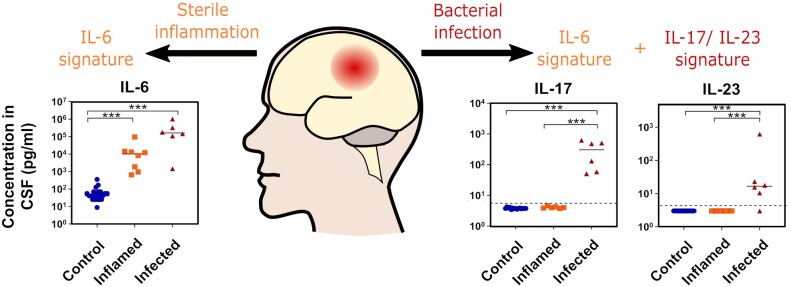 Graphical Abstract