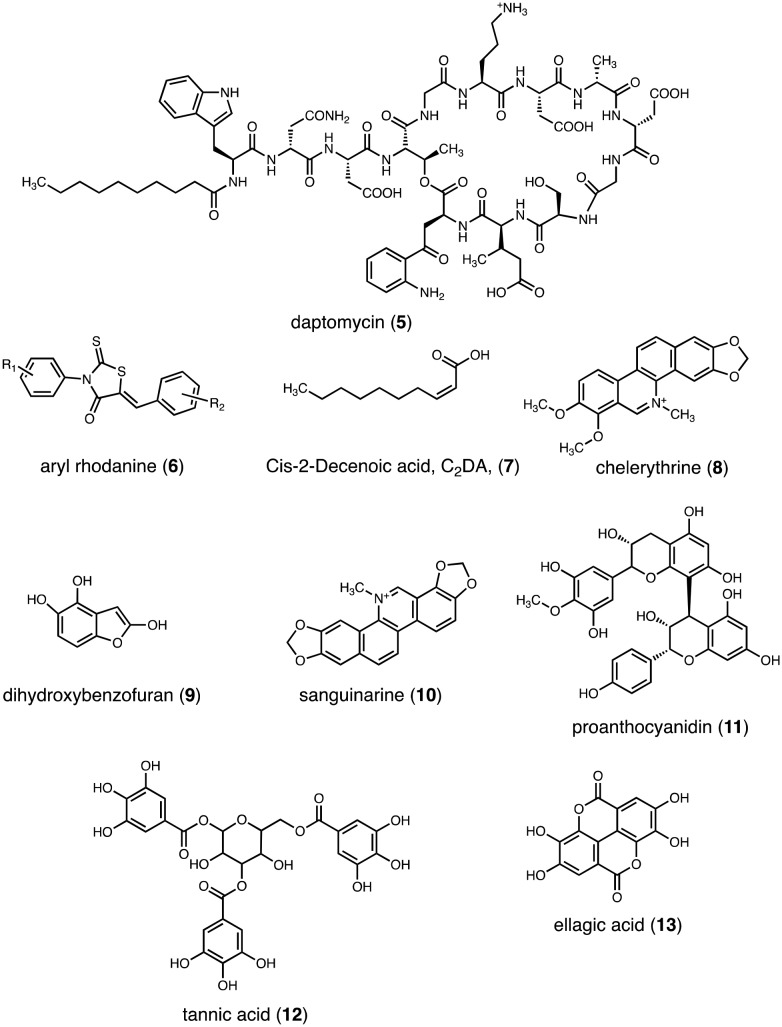 Fig. 5