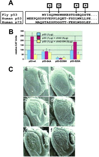 Fig 6.