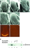 Fig 2.