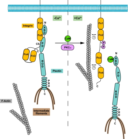 FIGURE 9.