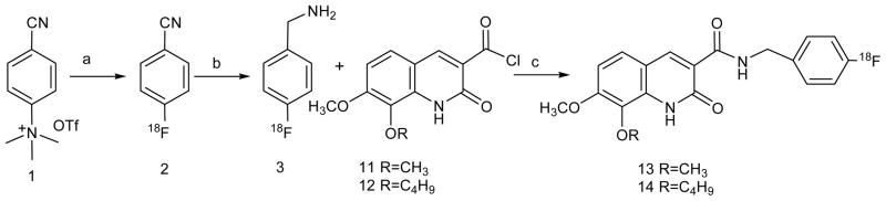 Synthetic Scheme 2