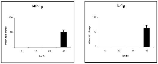 FIG. 6.