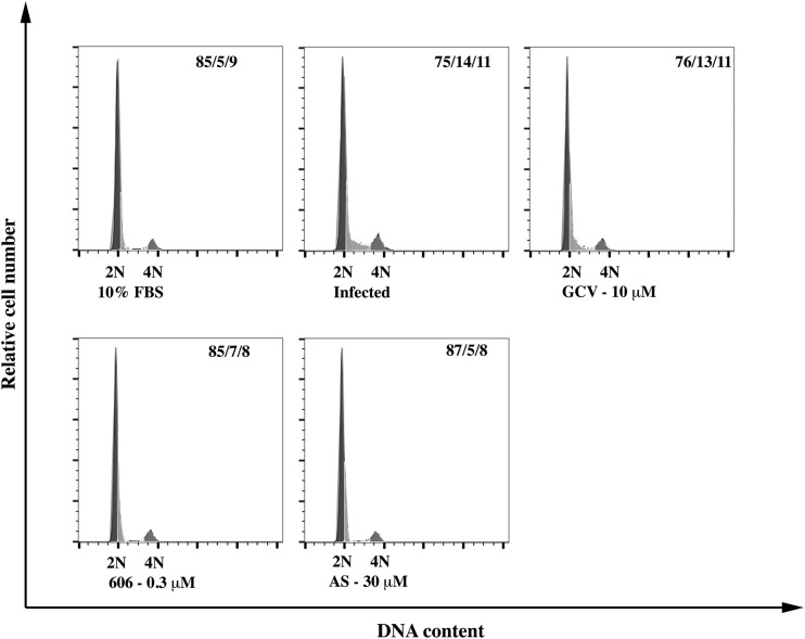 FIG 6