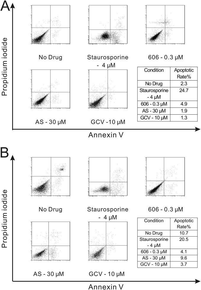 FIG 3