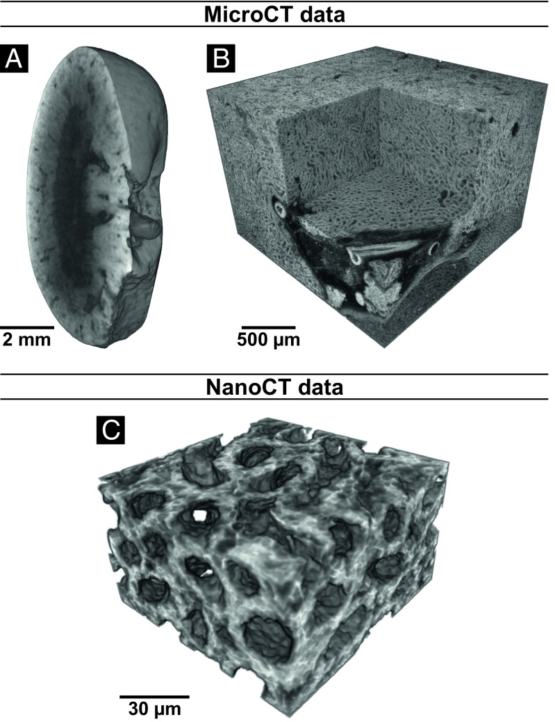 Fig. 4.