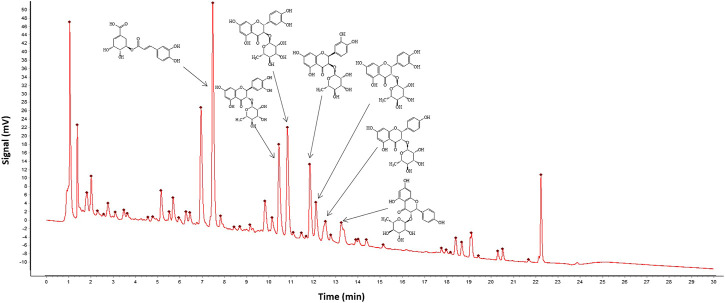 FIGURE 1