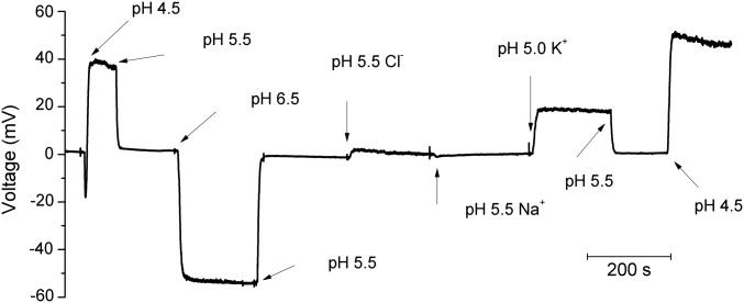 Fig. 4.