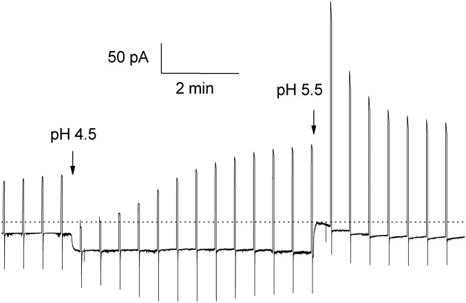 Fig. 3.