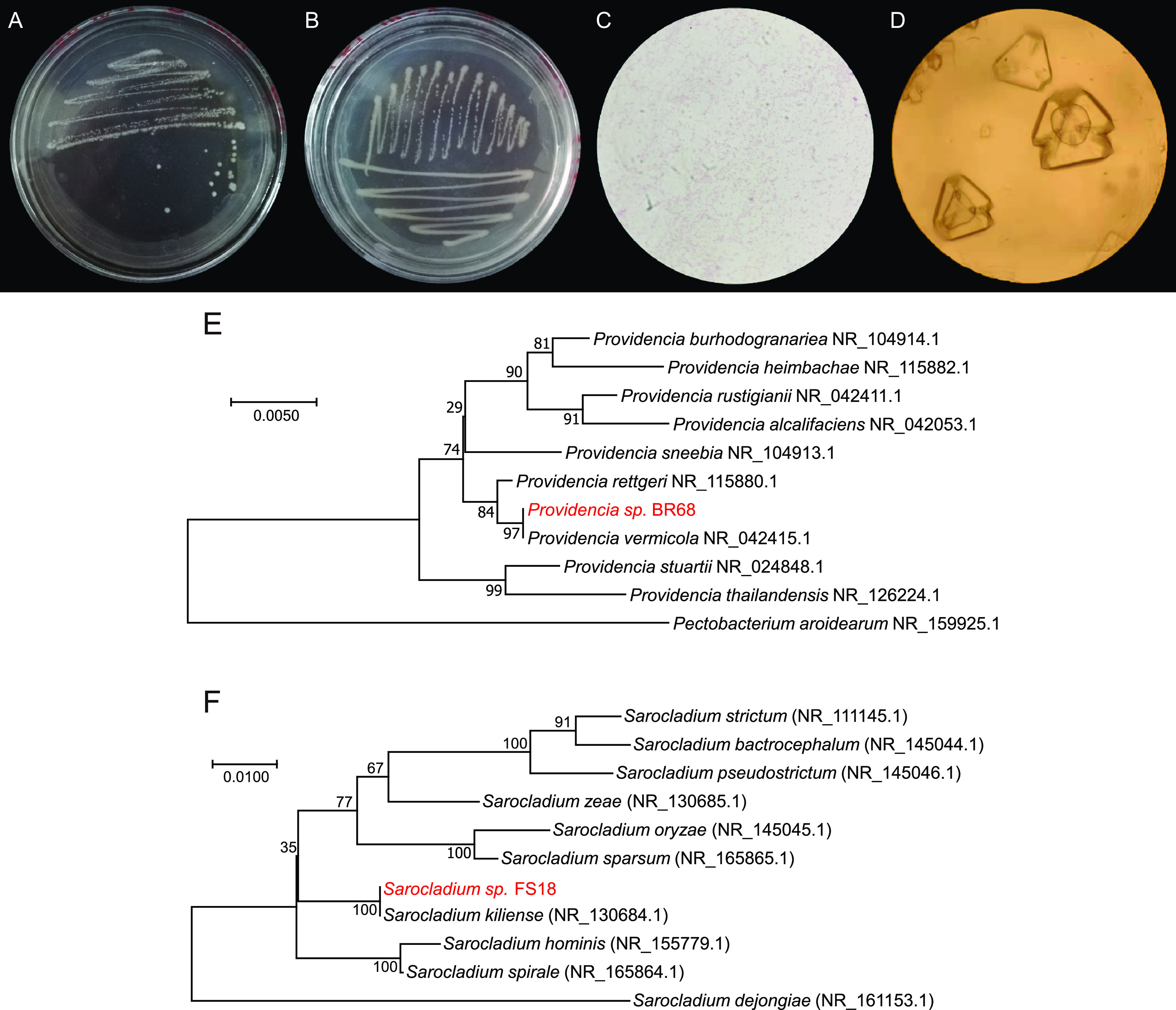 FIG 1