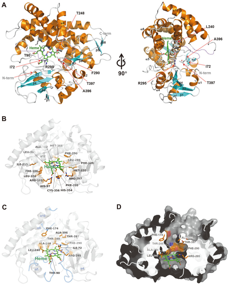 Fig. 4