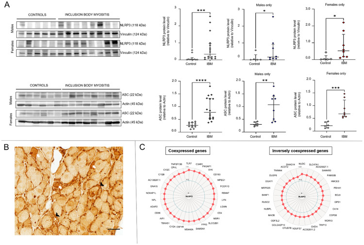 Figure 2: