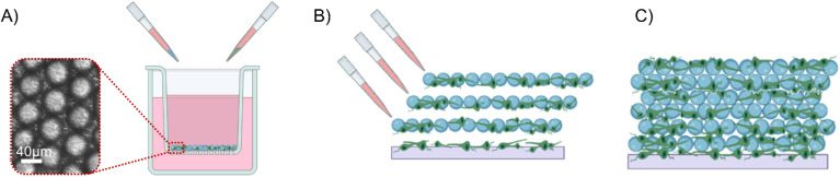 FIG. 7.