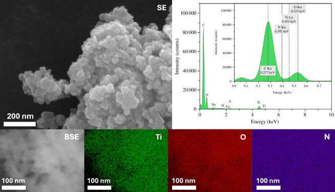 SEM imaging and EDX mapping of Au/N-TiO2. Secondary electron image taken at 250 kx.