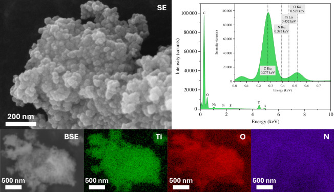 SEM imaging and EDX mapping of N-TiO2. Secondary electron image taken at 250 kx.