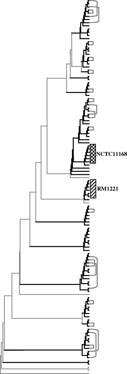 FIG. 3.