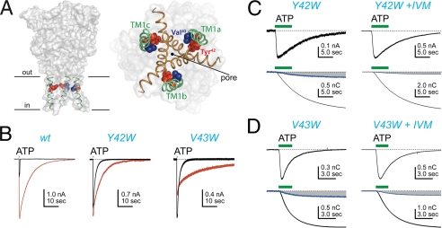 FIGURE 3.