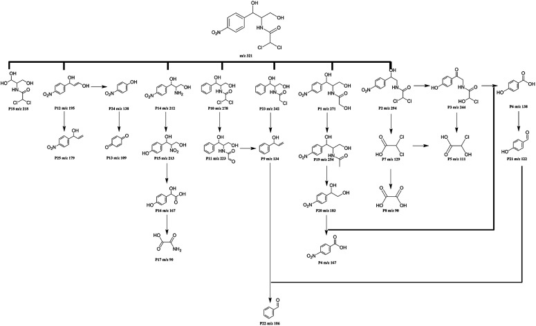 Fig. 9