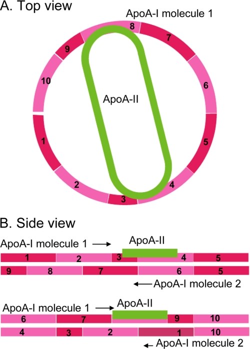 FIGURE 10.