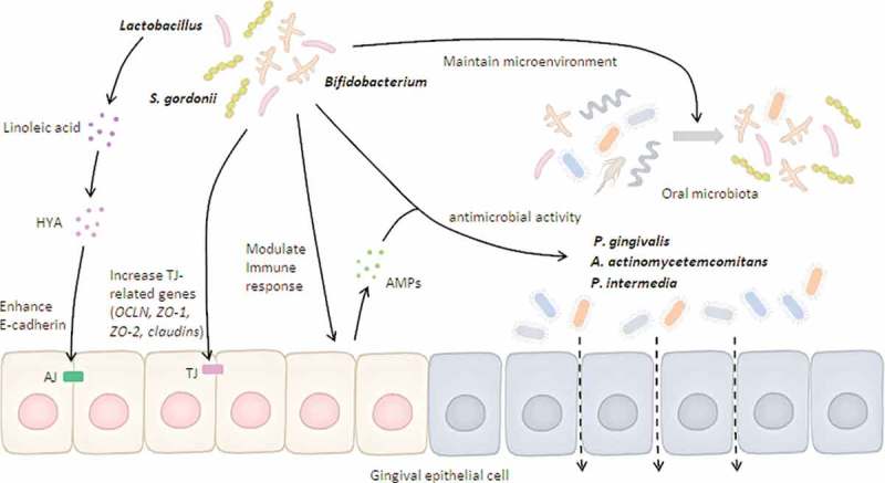 Figure 2.