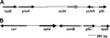 FIG. 1.