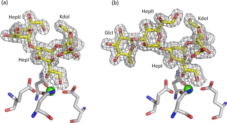 Fig 4