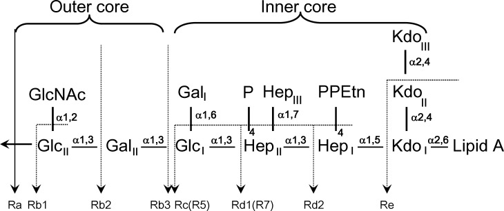 Fig 1