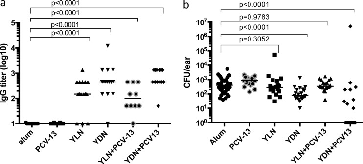 FIG 6