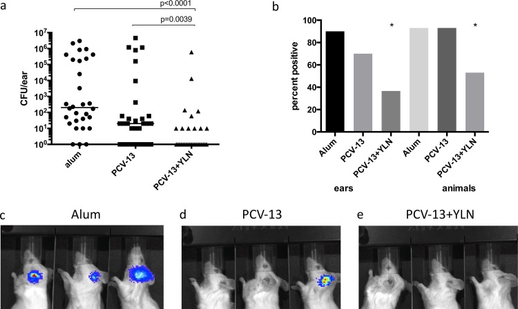 FIG 3