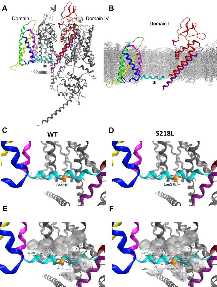 Fig. 4