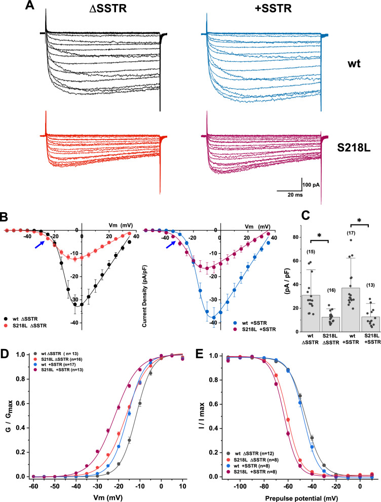 Fig. 2