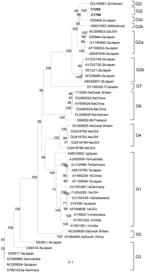 Figure 4