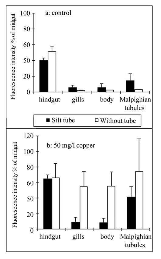 Figure. 3.