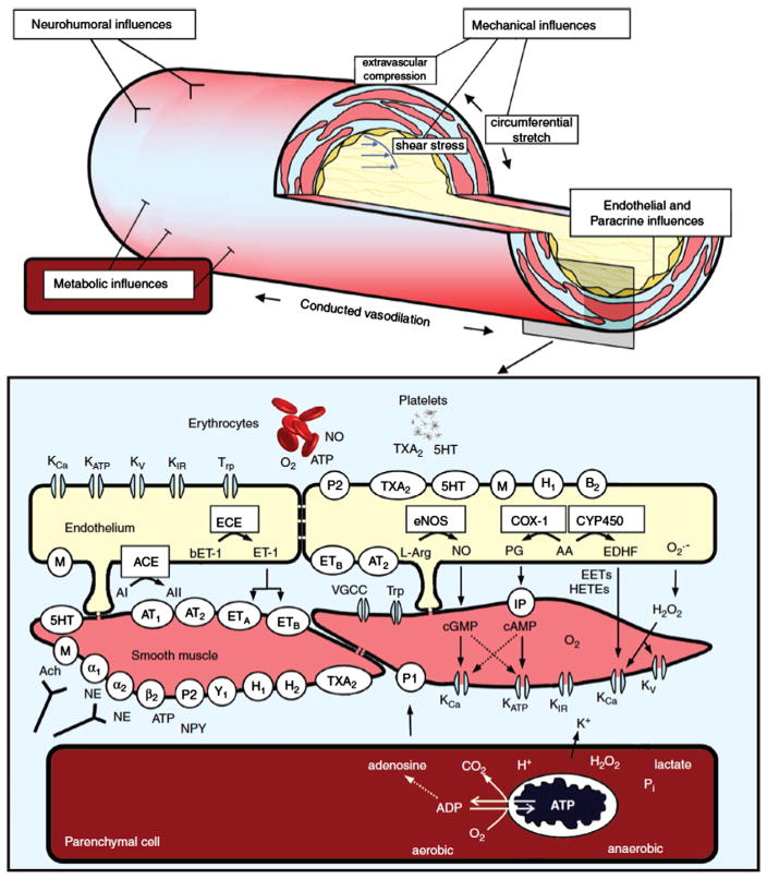 Fig. 3