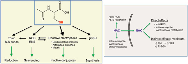 graphic file with name nihms-1051268-f0001.jpg