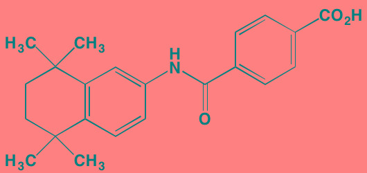graphic file with name oncotarget-07-81926-i026.jpg