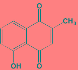 graphic file with name oncotarget-07-81926-i047.jpg