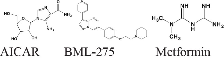 graphic file with name oncotarget-07-81926-g005.jpg