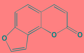 graphic file with name oncotarget-07-81926-i134.jpg