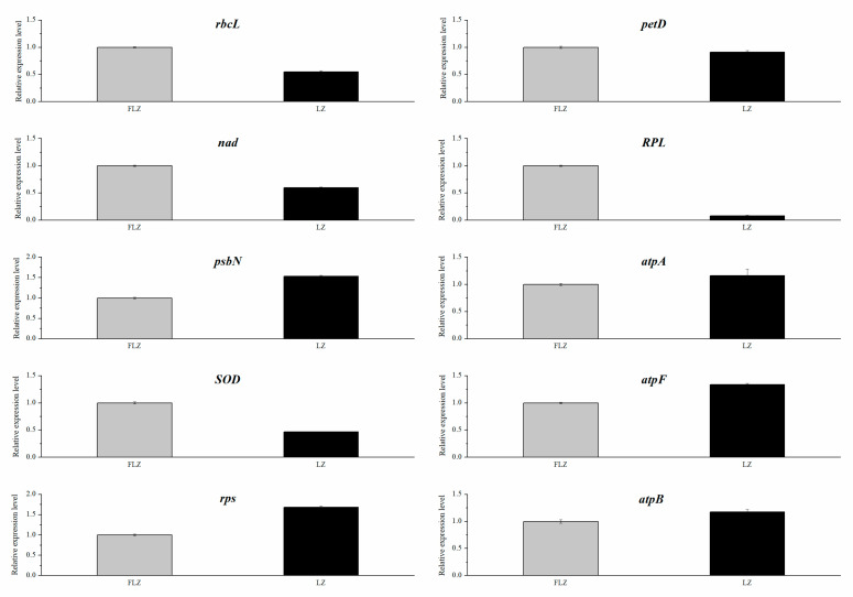 Figure 5