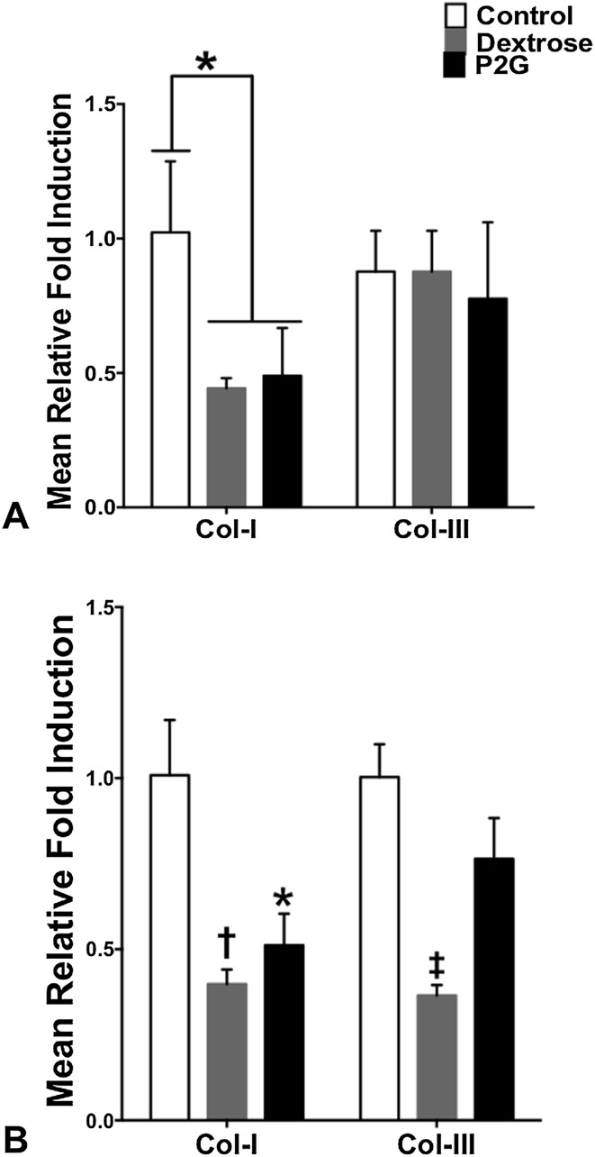 Fig. 3A–B