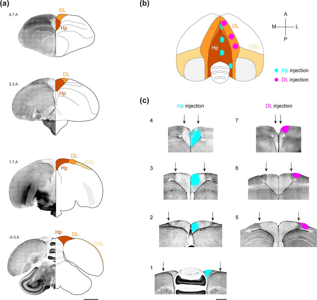 Figure 1: