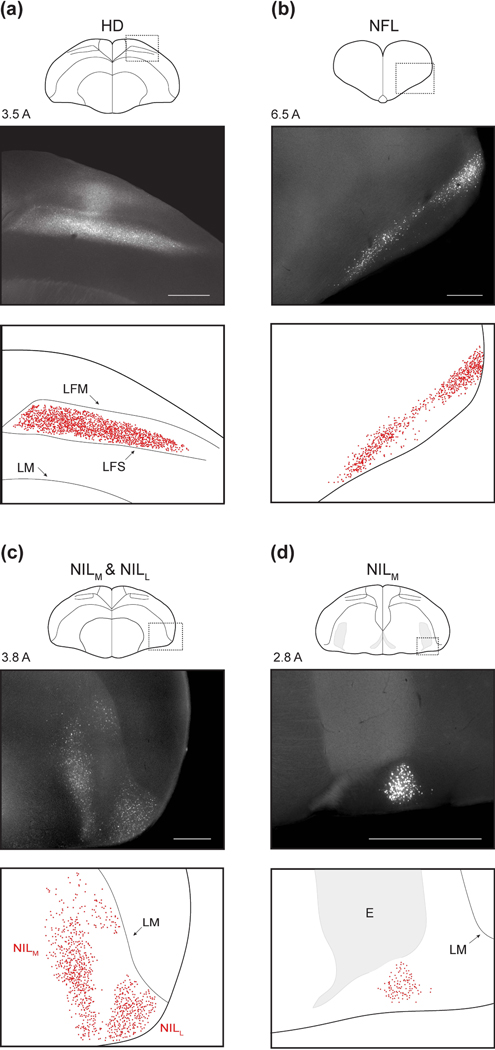 Figure 3: