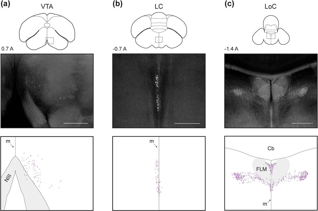 Figure 6: