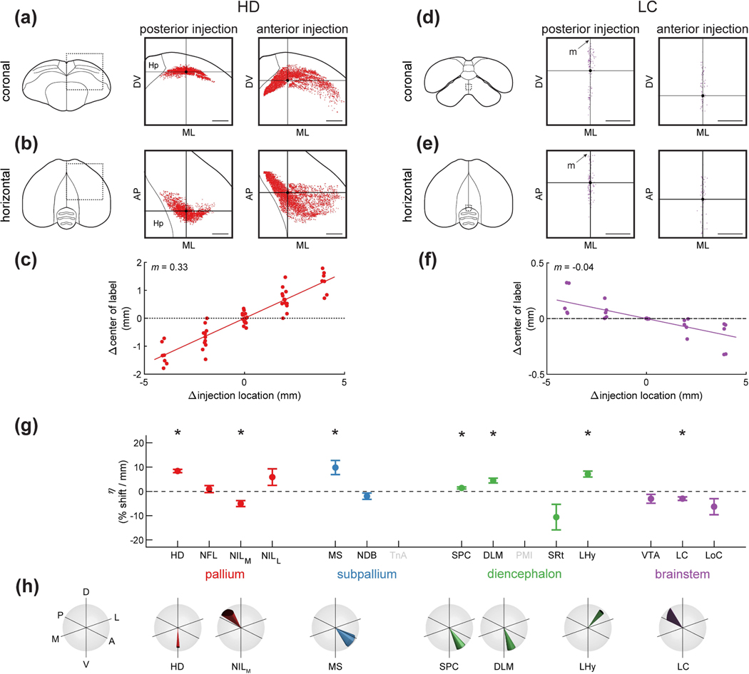 Figure 10: