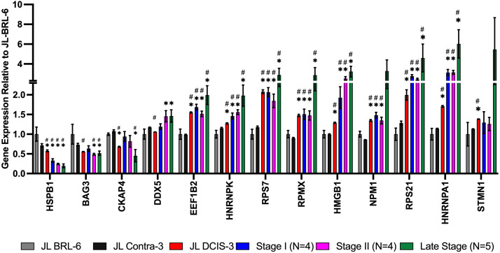 Figure 5