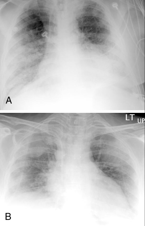 Figure 1)